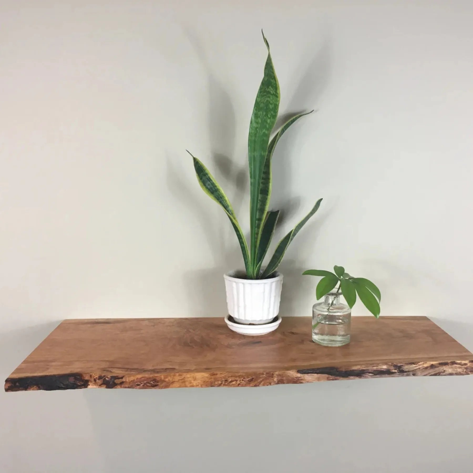 Floating Shelf Organic Edge mounted on a minimalist wall with plants and books
