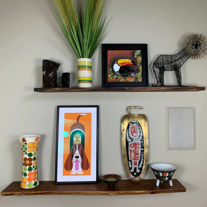 Floating Shelf Organic Edge mounted on a minimalist wall with plants and books