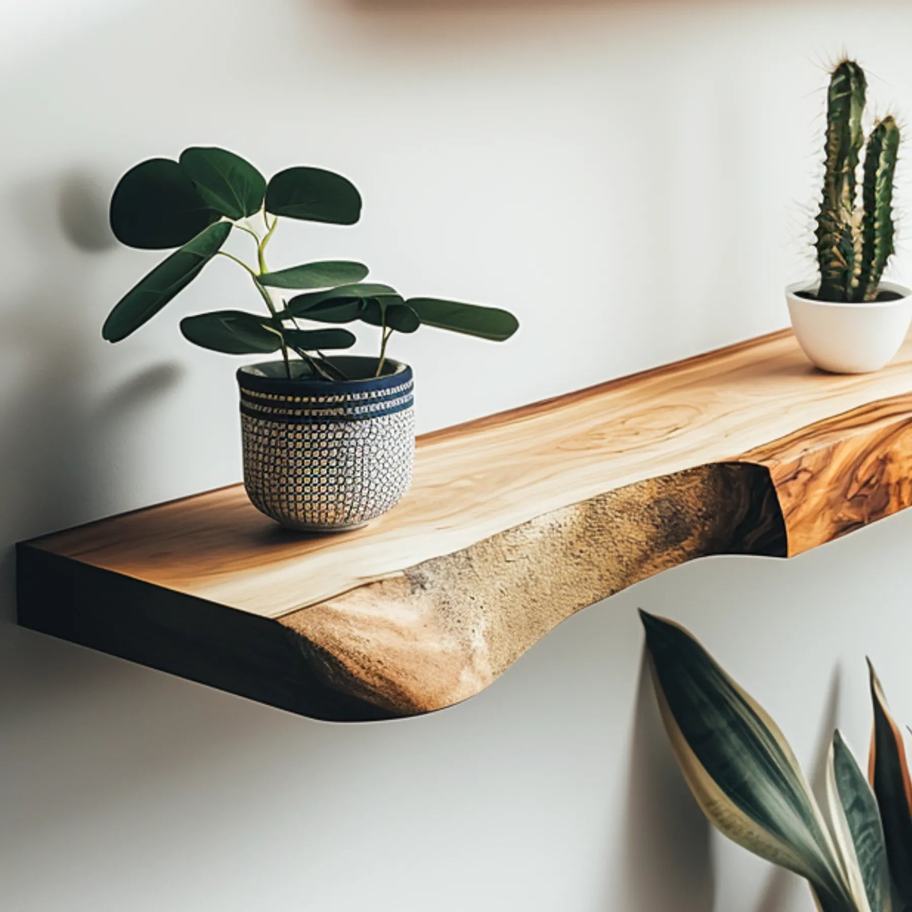 Live Edge Floating Shelf mounted on white wall featuring plants and decorative items